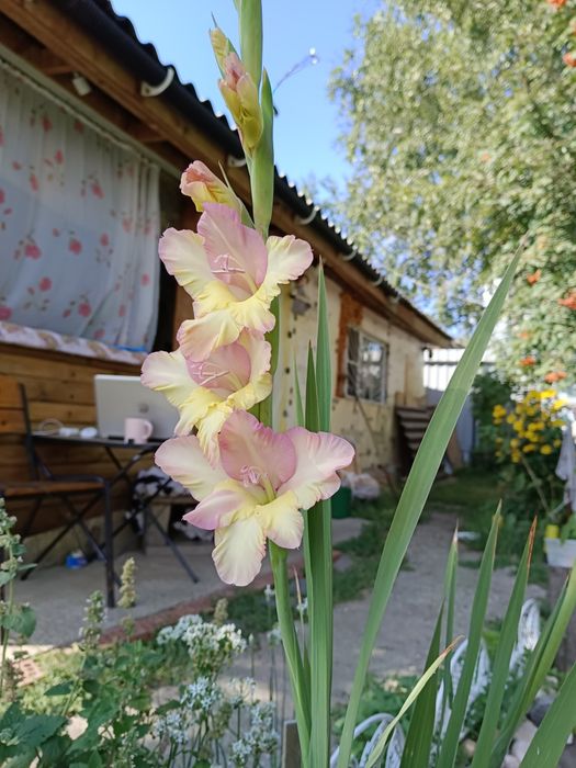 Продам зимнюю дачу в городе
