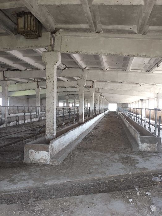 Срочно продается база!