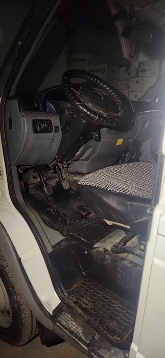 Gazel cobal gurzavoy