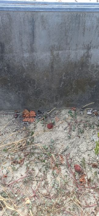 Сандвич панели два броя