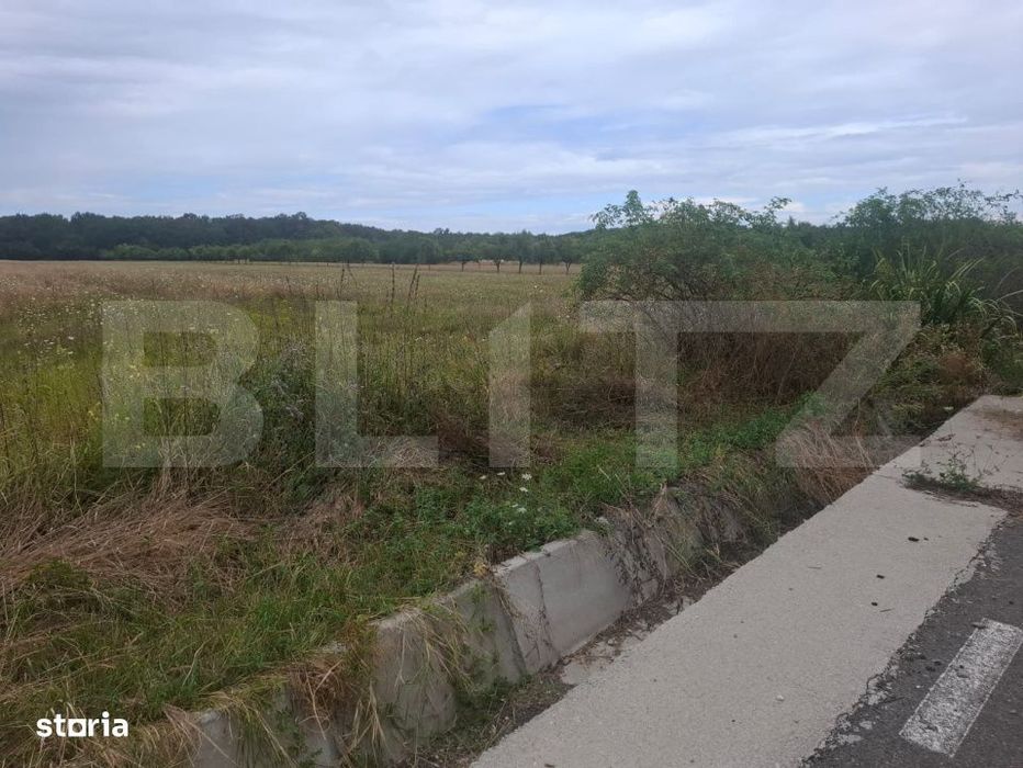 Teren de vanzare – Suta Olteni, 2.500 mp