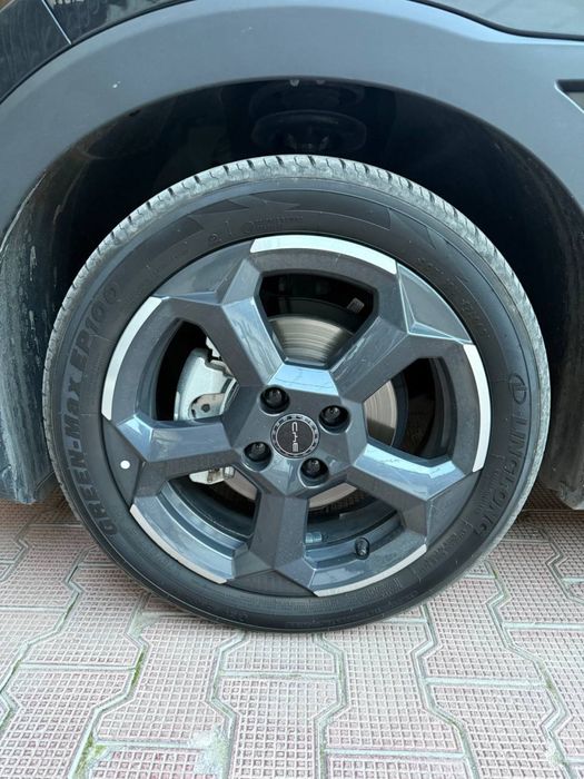 seagull Diska sotiladi