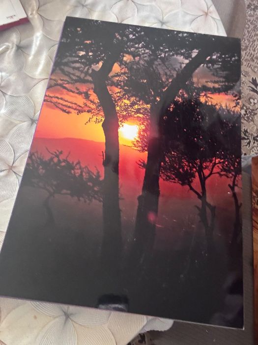 Фотографски пана