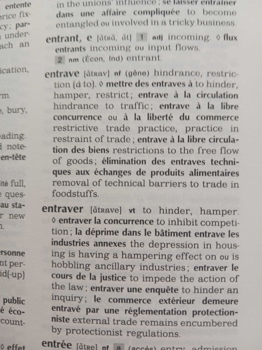 Dictionar francez englez management si juridic