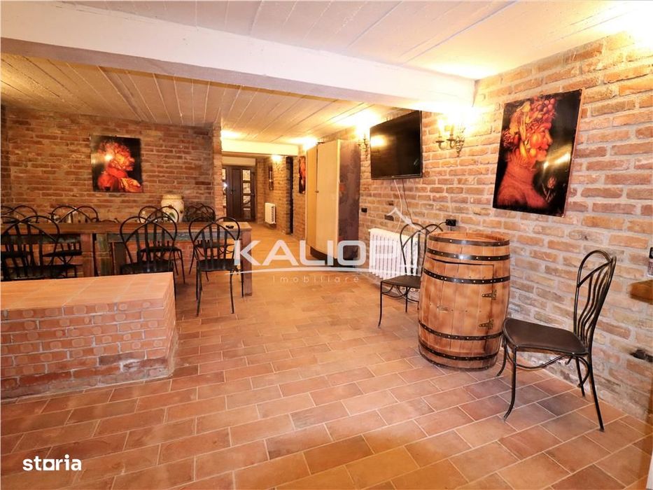 Casa individuala | 8 camere | 1200 mp | Piscina | Crama | Garaj | Fage