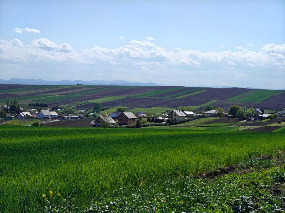 Teren intravilan 3.800 mp, Moara Nica, Suceava