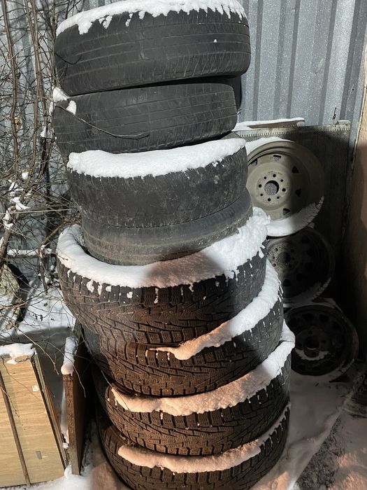 Шины не много шип