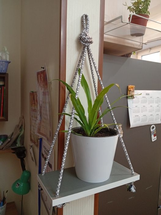 Подвесная полка для цветов(хлорофитум в подарок)!