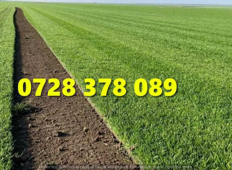 Gazon rulou Sistem de Irigare Oriunde in tara Calitate Extra