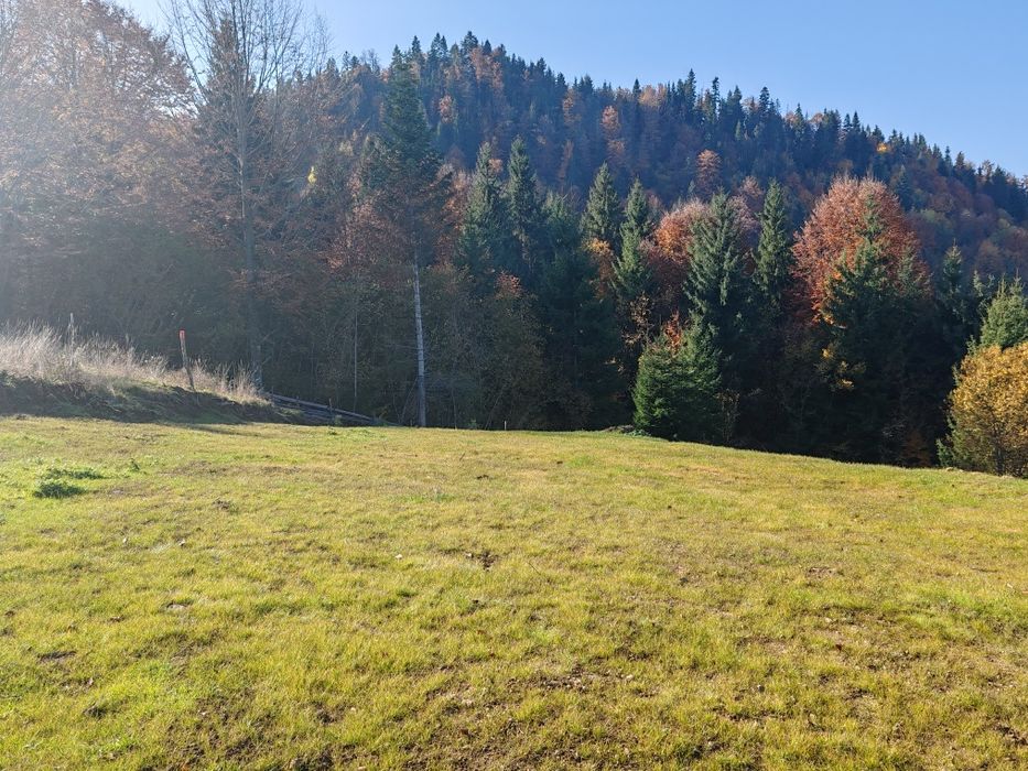 Teren intravilan Colibița 7 arii panoramă lac