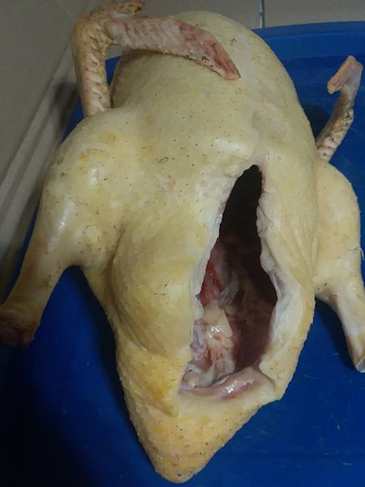 Муларды утки домашние