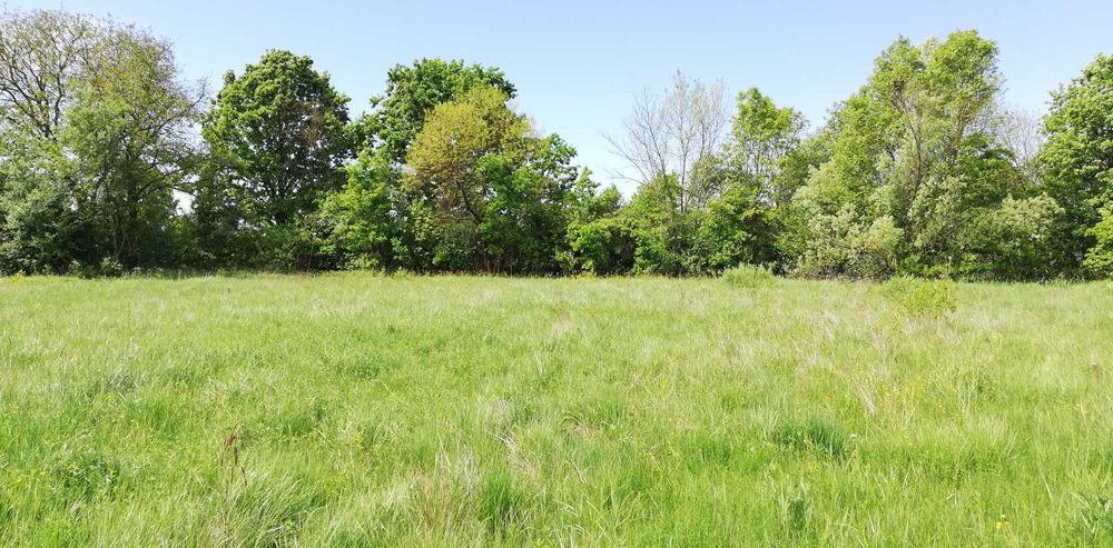 Vand teren intravilan 11.500 mp + cladire de renovat\demolat in Varadia de Mures, jud. Arad