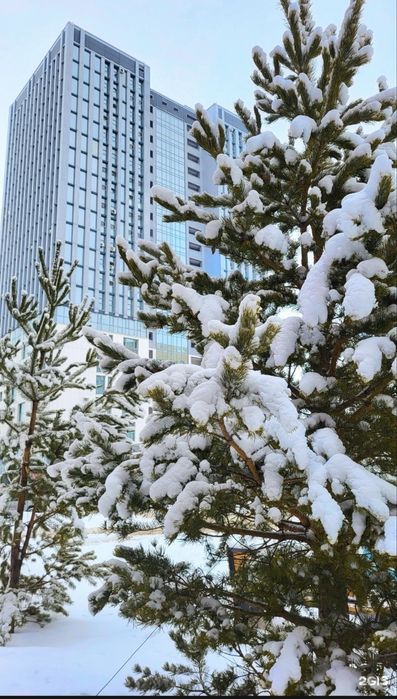 Сдам комнату одной девушке