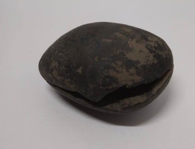 Шалиграм- шива лингам