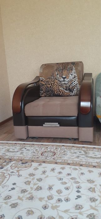 Кресло-кровать. Раскладушка