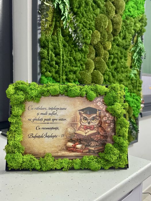 Realizez tablori personalizate cu licheni naturali si diferite plante.