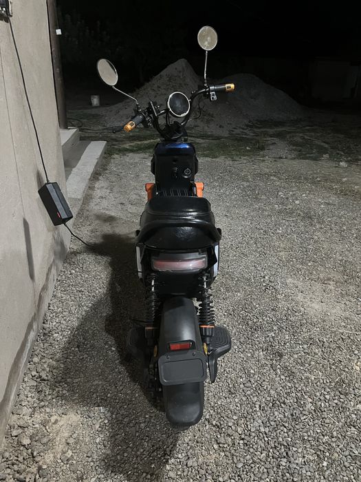 Gepard osaka 800w