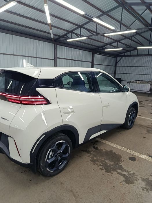 BYD Seagull 2024-25 srochno