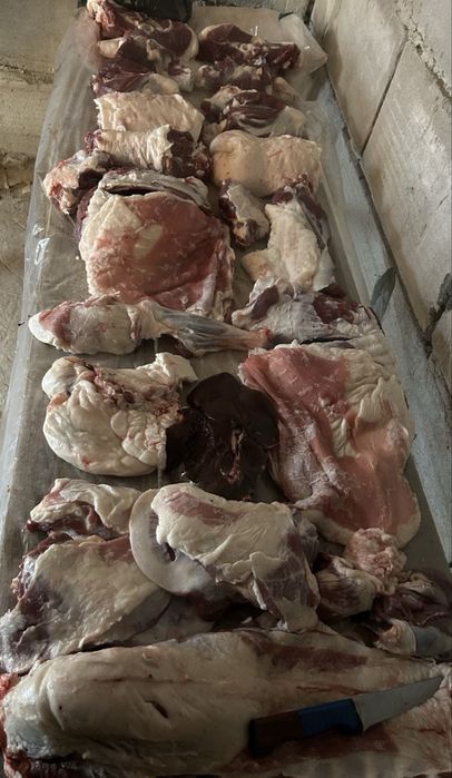 Мясо баранина жирные