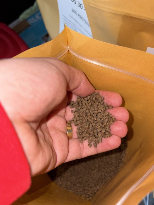 Pelete crap nadire, proteice 3 mm