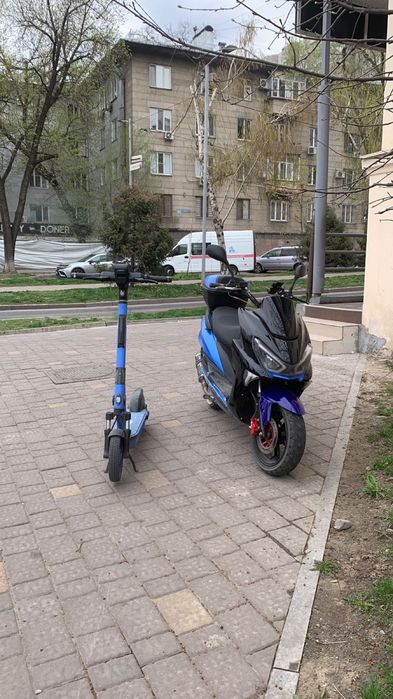 Мопед макси 150 куб