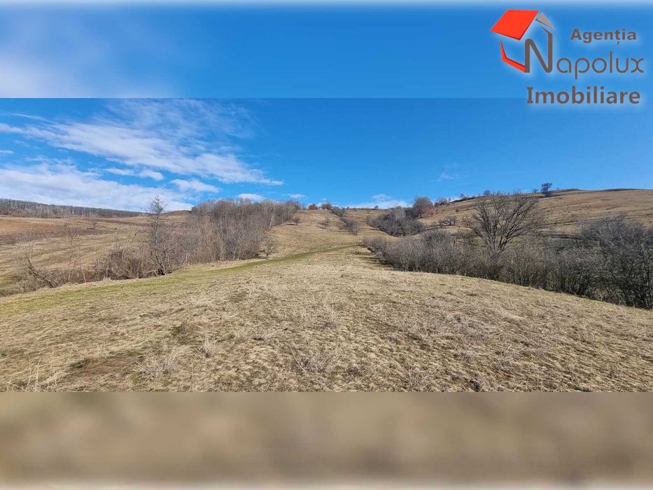 Teren de exceptie 3,1 ha intravilan | Panorama, utilitati, acces dublu | Sardu