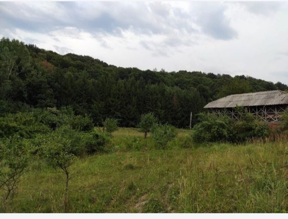 Teren intravilan Capul Piscului Merișani 500-1700 mp