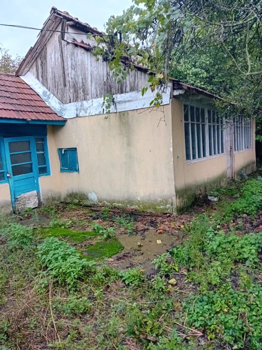 Casa batraneasca in Prisacani cu 2700 mp teren