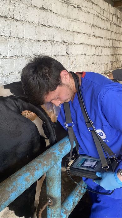 Veterinariya xizmati 24/7 xizmatda