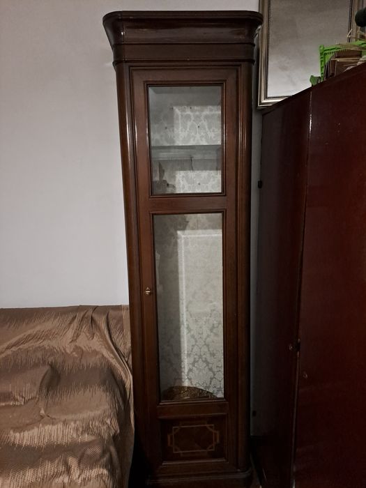 Vând Cutie Pendulă de Podea / Vitrină Coloană