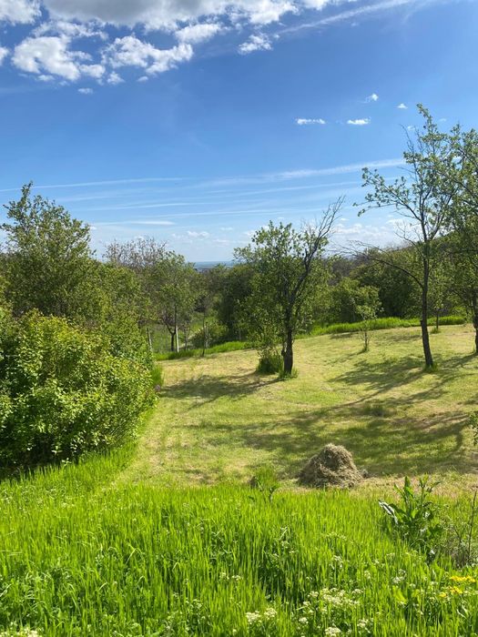 Teren intravilan sat Tohani comuna Gura Vadului ,Prahova