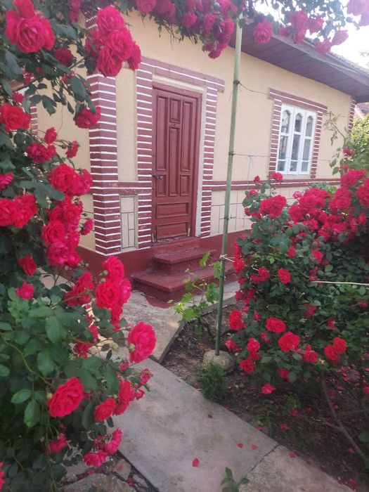 Casa comuna Gheorghe Doja, Ialomita