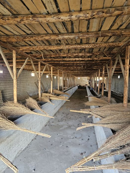 Молхона, уй кадастр бор