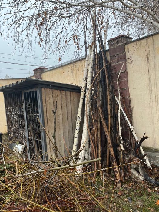 Отдам даром дрова