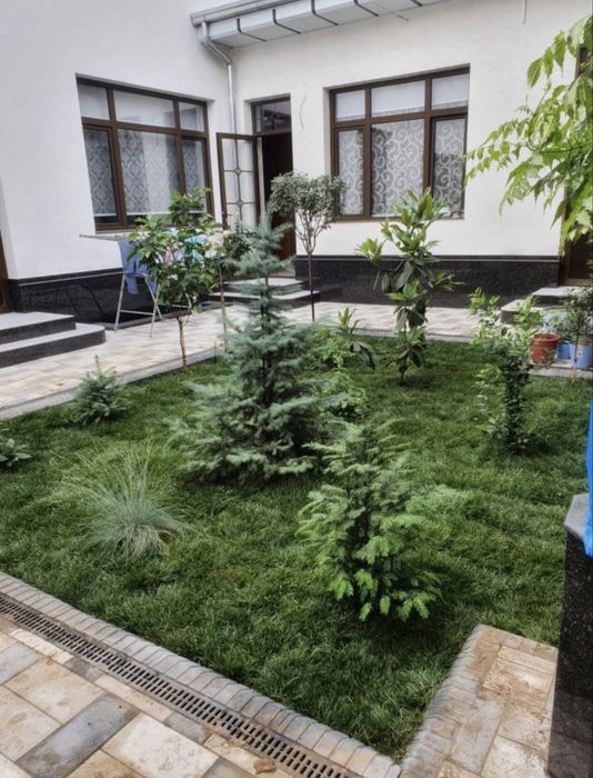 Gazon-посевной рулонновый