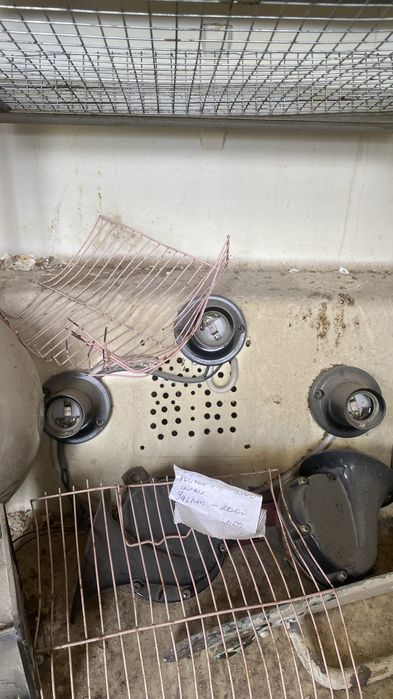 Инкубатор балапан шыгаратын