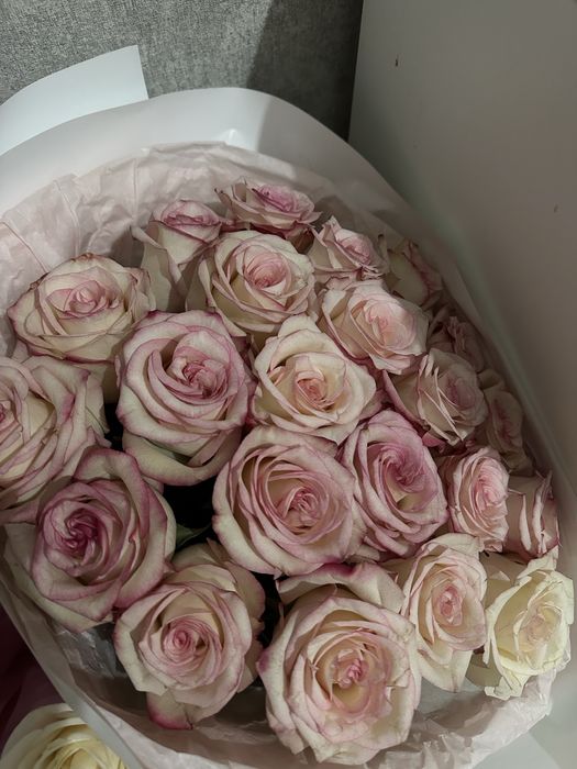 Гүлдер свежий бүгін келген