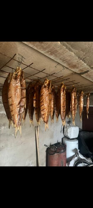 Копченный жерех свежий мощный