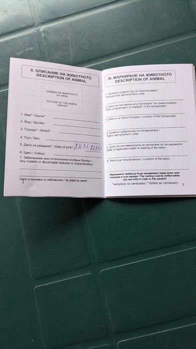 Продавам мини йорки ,черни перли - две момчета.