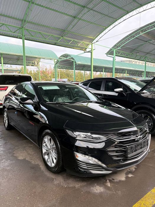 Malibu XL Ideal toza