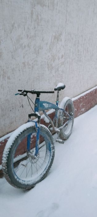 Велик сатам бағасы 75000мың