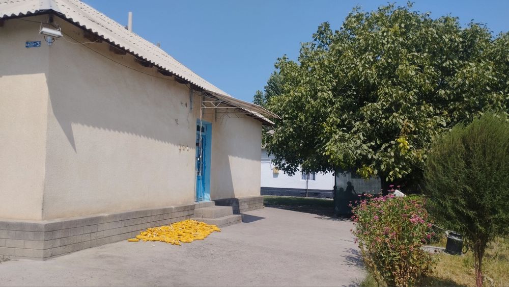 Уй сотилади 1 та Уй нархига 2 та уй зор уй зор нарх