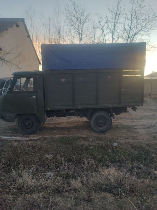 Увазик холати зор