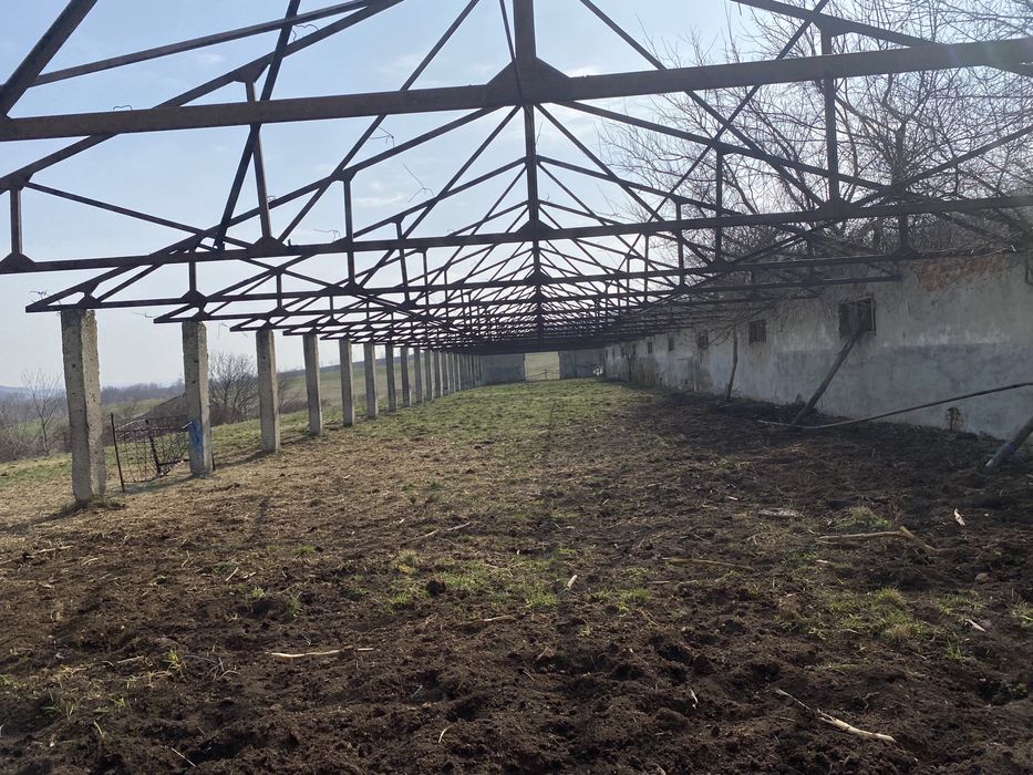 Fermă animale fost C.A.P.