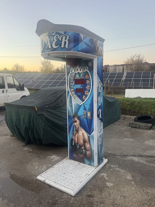 Боксова круша с монети