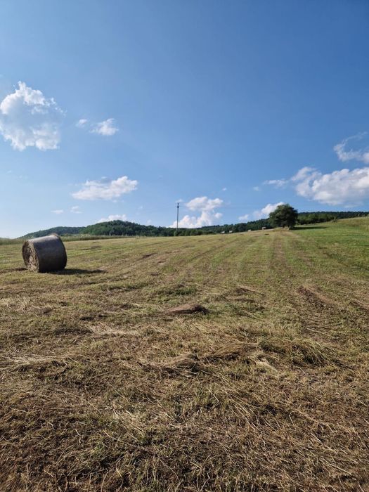 Teren intravilan ,5800 mp , Aghiresu Fabrici