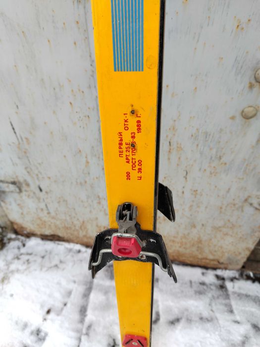 Лыжи лесные широкие.