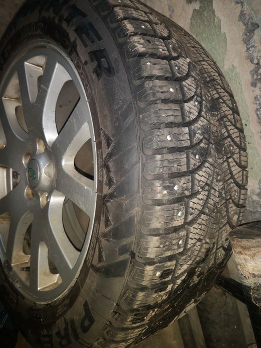 Зимняя шипованная резина. Д 19