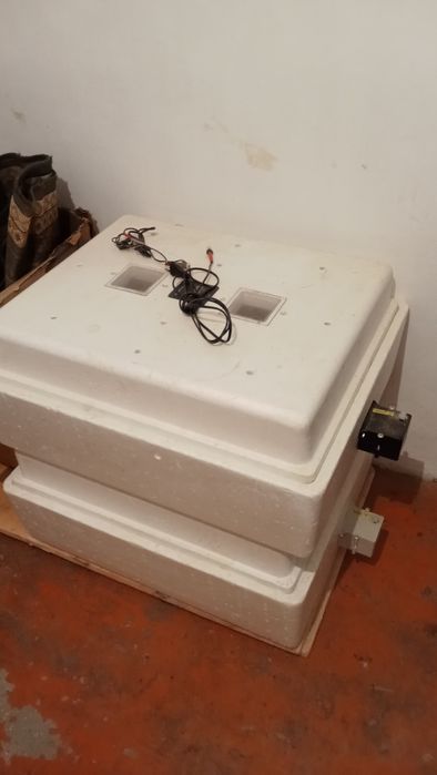 Инкубатор сатылады