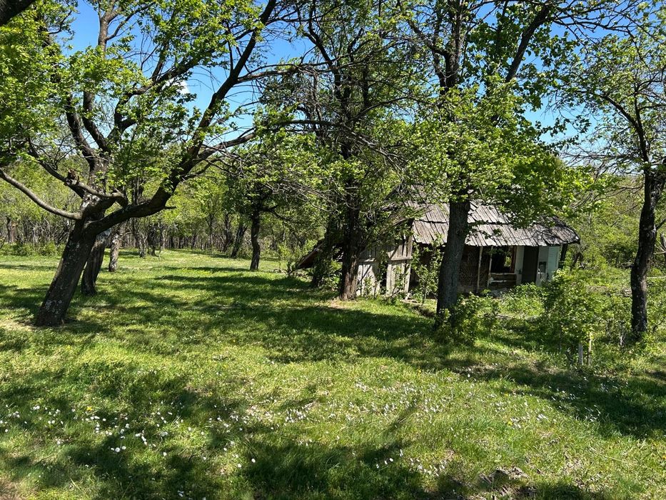 Vand/schimb cu auto teren extravilan